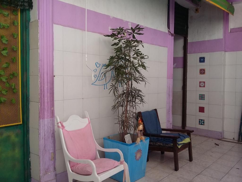 Hospedaje La Rana بوينس آيرس المظهر الخارجي الصورة